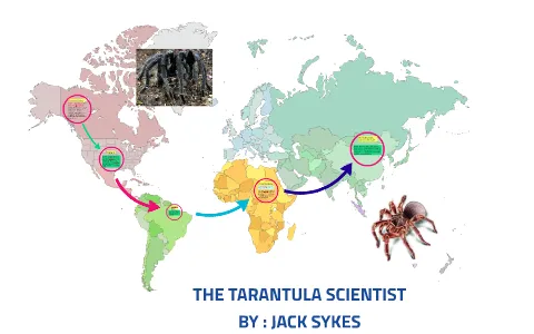 16164 tarantula care guide