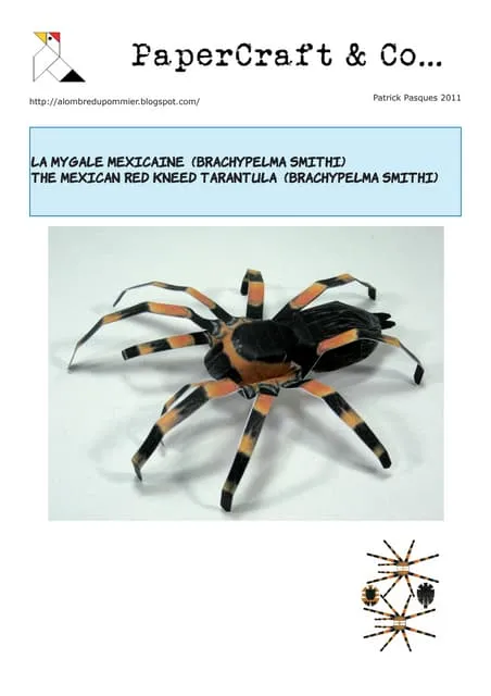 16164 tarantula water