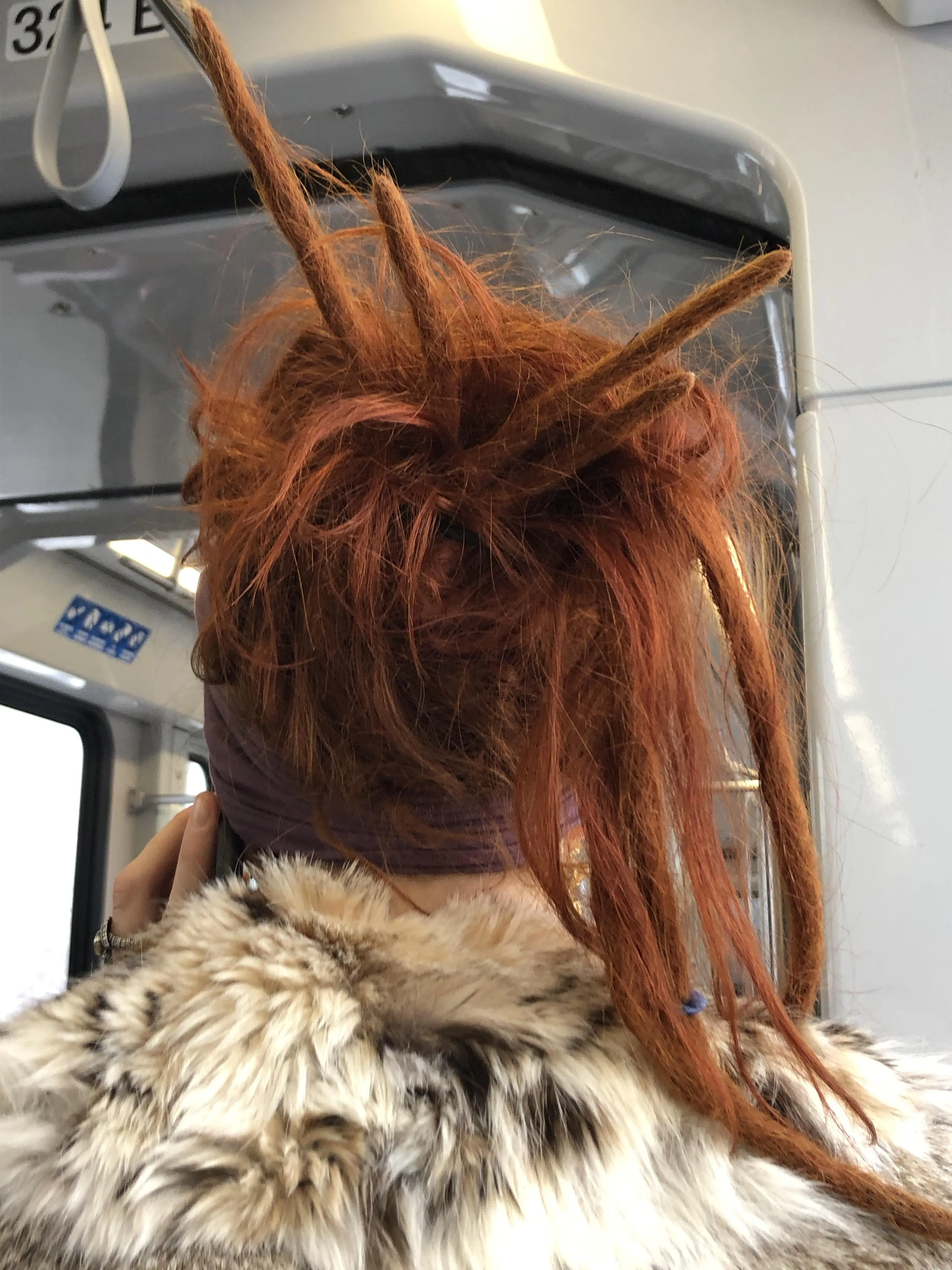 16182 tarantula catching safety