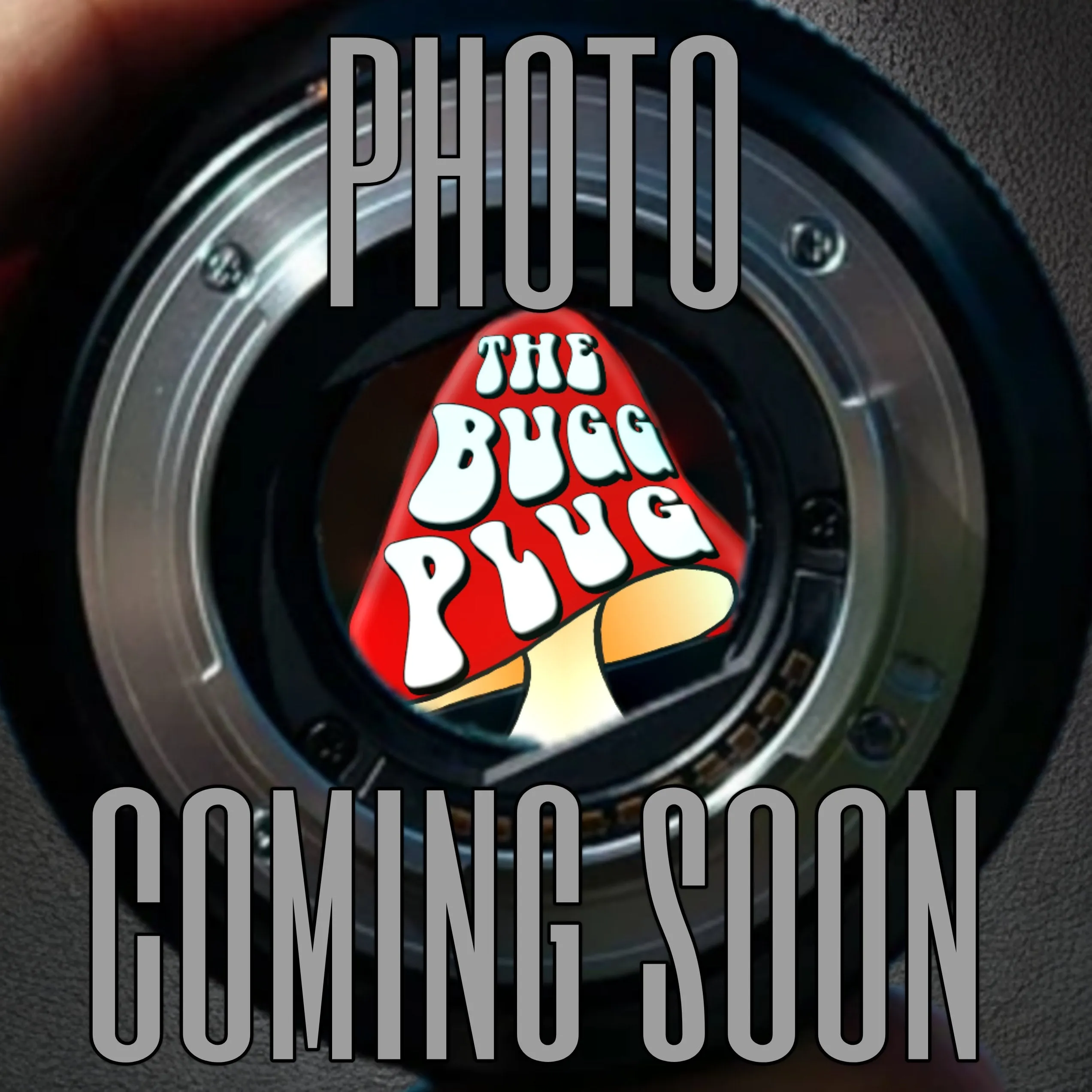 16187 molted exoskeleton