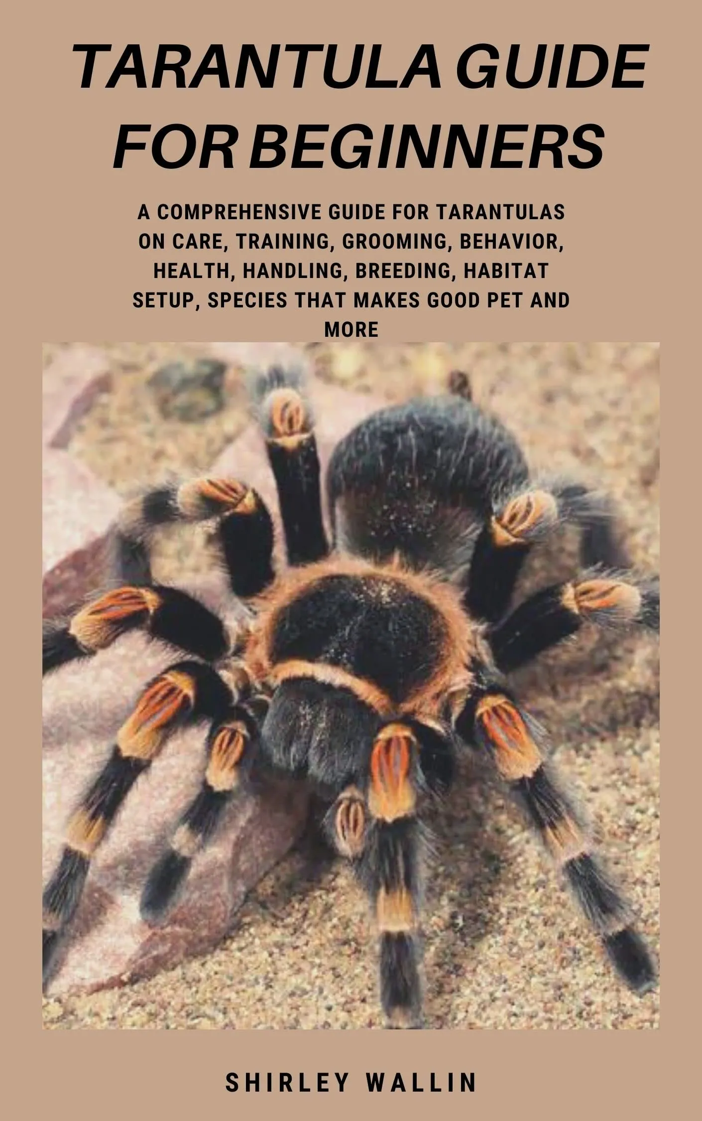 16198 brazilian black tarantula
