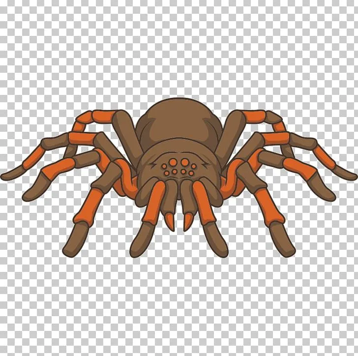 16203 animated tarantula character